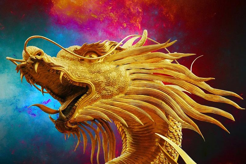 Donec elit libero sodales nec